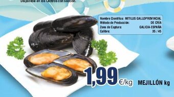 FROIZ MEJILLÓN kg oferta