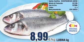 FROIZ LUBINA kg oferta