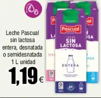 FROIZ Leche Pascual sin lactosa entera, desnatada o semidesnatada DE 1 L unidad oferta