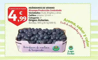 Alcampo Arándanos De Verano oferta