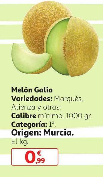 Alcampo Melón Galia oferta