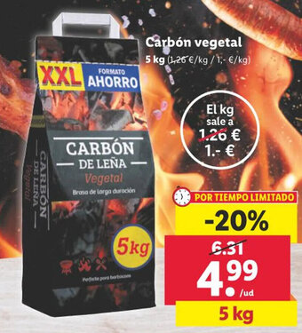 Lidl Carbón vegetal oferta