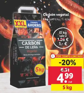 Lidl Carbón vegetal oferta