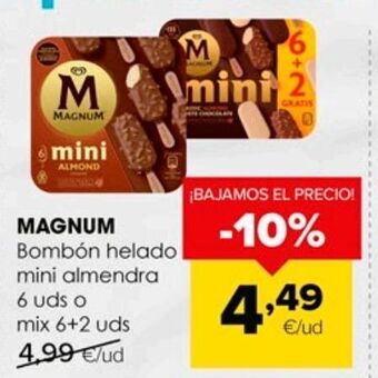 Autoservicios Familia Helados magnum oferta