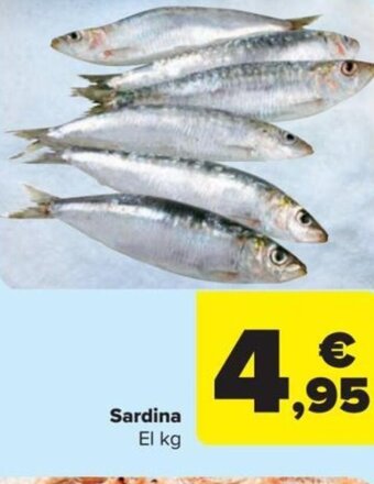 Carrefour Sardina El kg oferta
