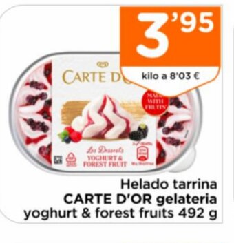 Supermercados Deza Helado tarrina CARTE D'OR gelateria yoghurt & forest fruits 492 g oferta