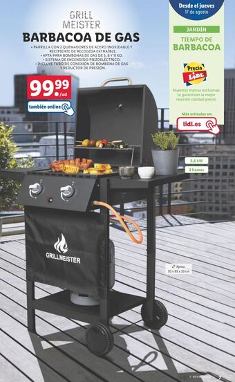 Lidl Barbacoa a gas oferta