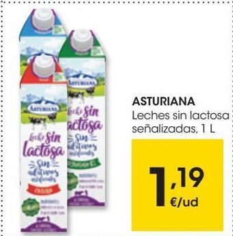 Eroski Asturiana leche sin lactosa semidesnatada 1 l oferta