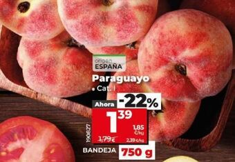 Dia Paraguayo oferta