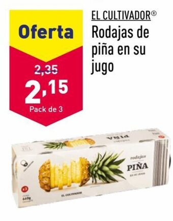 ALDI EL CULTIVADORⓇ Rodajas de piña en su jugo oferta