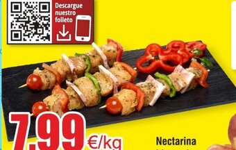 FROIZ Brocheta de pollo elaboración propia kg oferta
