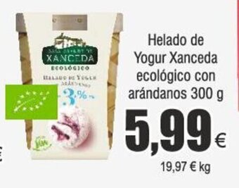 FROIZ Helado de Yogur Xanceda ecológico con arándanos 300 g oferta
