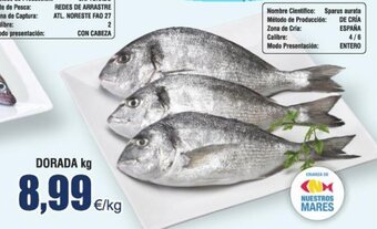 FROIZ DORADA kg oferta