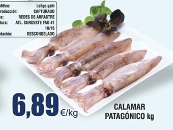 FROIZ CALAMAR PATAGÓNICO kg oferta