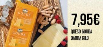 Claudio Queso gouda oferta