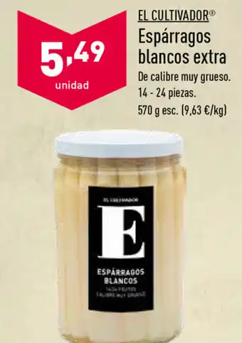 ALDI El Cultivador Espáragos blancos extra 14-24 piezas 570g oferta