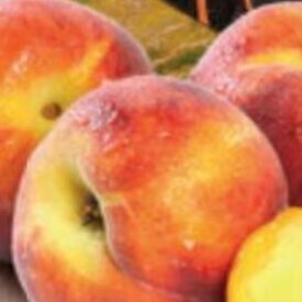 Alimerka SABROSONA Melón, el kilo oferta