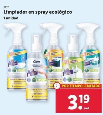 Lidl Limpiadores w5 oferta