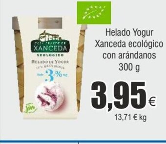 FROIZ Helado Yogur Xanceda ecológico con arándanos 300 g oferta