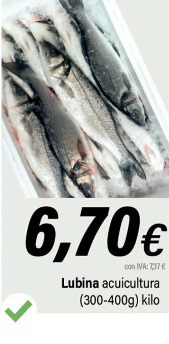 Cash Ifa Lubina acuicultura (300-400g) kilo oferta