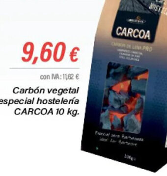 Cash Ifa Carbón vegetal especial hostelería CARCOA 10 kg oferta