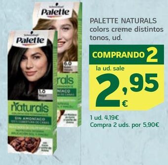 HiperDino Tinte de pelo palette oferta