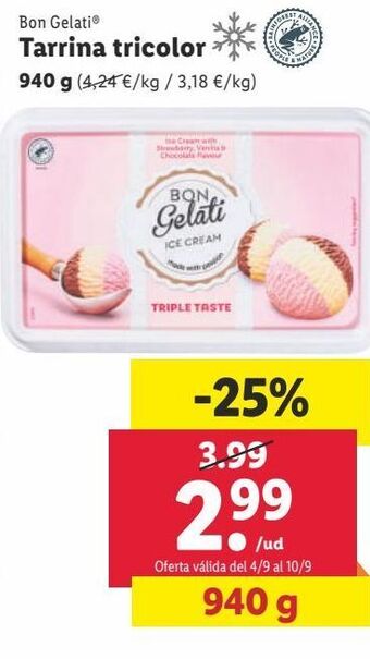 Lidl Tarrina de helado oferta
