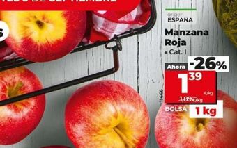 Dia Manzanas oferta