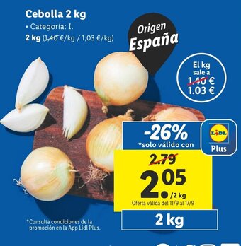 Lidl Cebolla 2 kg oferta