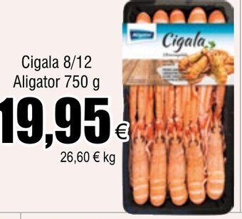 Cigala 8/12 Aligator 750 g