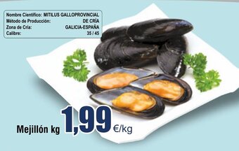 FROIZ Mejillón kg oferta