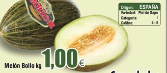 FROIZ Melón Bollo kg oferta