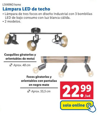 Lidl Lámpara LED de techo oferta