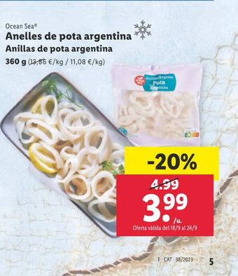 Lidl Ocean Sea Anelles de pota argentina oferta