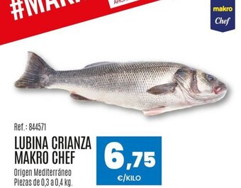 Makro LUBINA CRIANZA MAKRO CHEF oferta