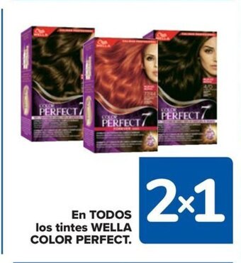 Carrefour EN TODOS los tintes WELLA COLOR PERFECT oferta
