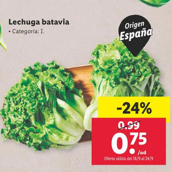 Lidl Lechuga batavia oferta