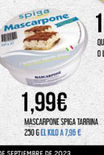 Claudio MASCARPONE SPIGA TARRINA oferta