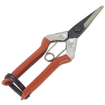 Brico Depôt Tijeras recolectar uvas 1 mano p 1552 180 mm oferta