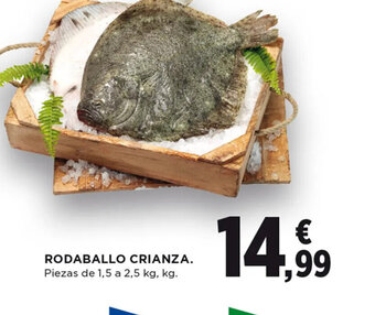 Hipercor RODABALLO CRIANZA oferta