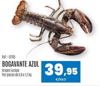 Makro BOGAVANTE AZUL oferta