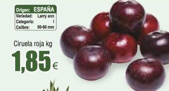Froiz Ciruela roja kg oferta