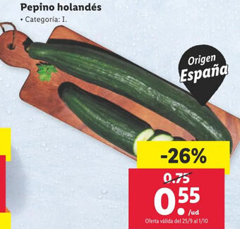 Lidl Pepino holandés oferta