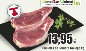 FROIZ Chuletas de Ternera Gallega kg oferta