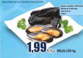FROIZ MEJILLÓN kg oferta