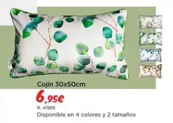 Cojín 30x50cm