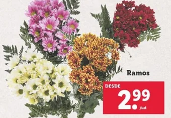 Lidl Ramos oferta