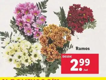 Lidl Ramos oferta