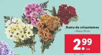 Lidl Ramo de crisantemos oferta