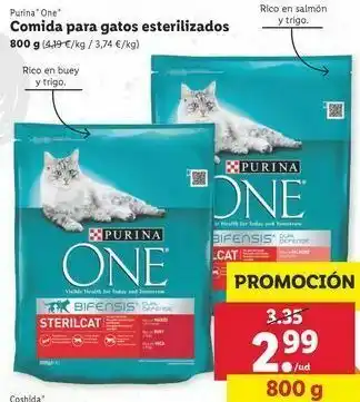 Lidl Comida para gatos purina oferta